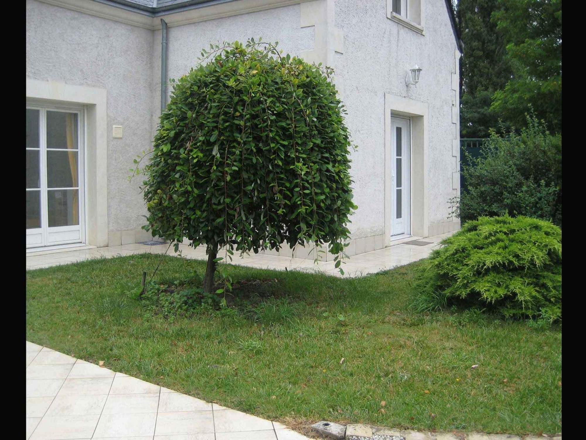 Les Agapanthes La Riche Apartment Ngoại thất bức ảnh